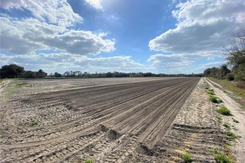 Land in Alachua, Florida № 215369 - photo 9