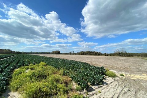 Land in Alachua, Florida № 215369 - photo 7