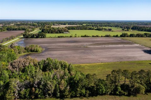 Land in Alachua, Florida № 215369 - photo 3