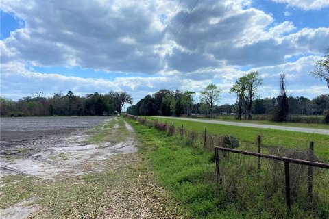 Land in Alachua, Florida № 215369 - photo 16