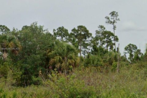 Terreno en venta en Lehigh Acres, Florida № 1935672 - foto 1