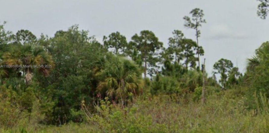 Terreno en Lehigh Acres, Florida № 1935672
