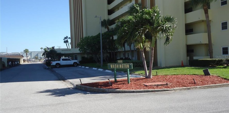 Condo in Saint Petersburg, Florida, 1 bedroom № 2396003