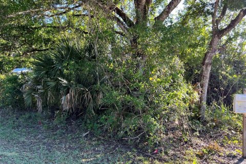 Land in Vero Beach, Florida № 2206223 - photo 5