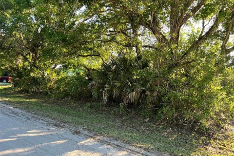 Land in Vero Beach, Florida № 2206223 - photo 8