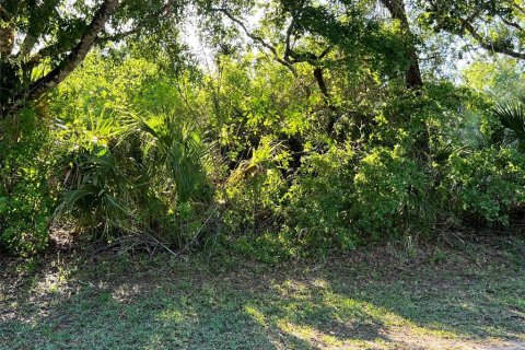Land in Vero Beach, Florida № 2206223 - photo 11