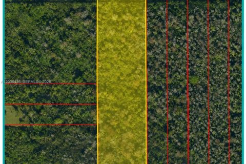 Land in Naples, Florida № 2087085