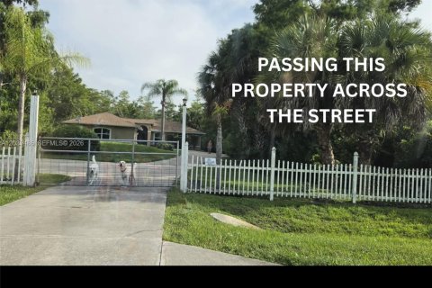Land in Naples, Florida № 2087085 - photo 2