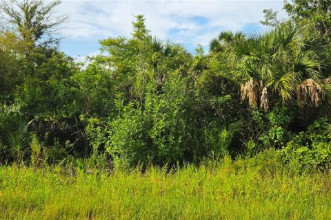 Land in Naples, Florida № 2087085 - photo 4