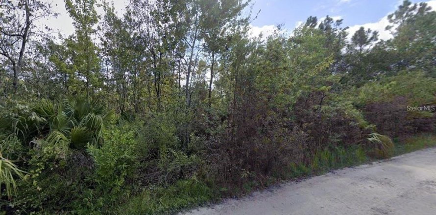 Land in New Port Richey, Florida № 2202114