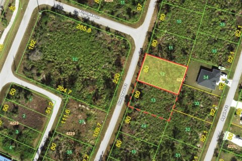 Land in Port Charlotte, Florida № 2162614 - photo 2