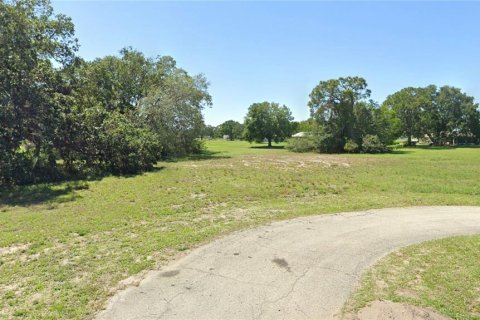 Land in Sebring, Florida № 1868941 - photo 2