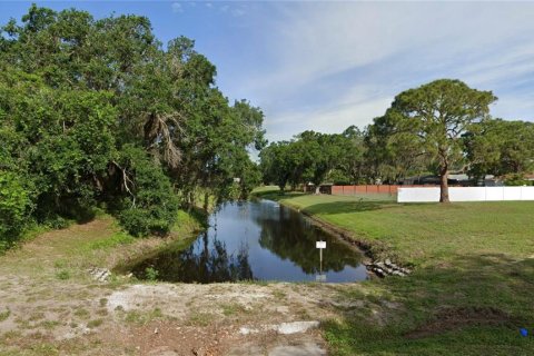 Land in Sebring, Florida № 1868941 - photo 6