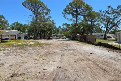 Terreno en venta en Saint Petersburg, Florida № 1677363 - foto 1