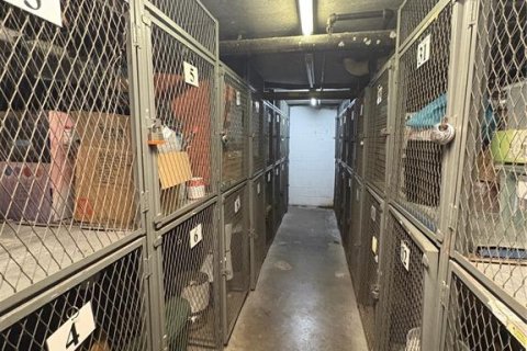 Condominio en alquiler en Tampa, Florida, 2 dormitorios, 94.39 m2 № 1906864 - foto 27