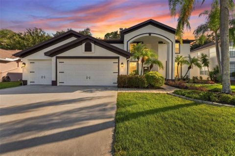 Villa ou maison à Tampa, Floride 4 chambres, 329.62 m2 № 2407036