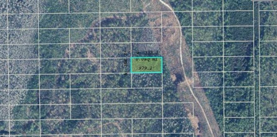 Land in Orlando, Florida № 2118549