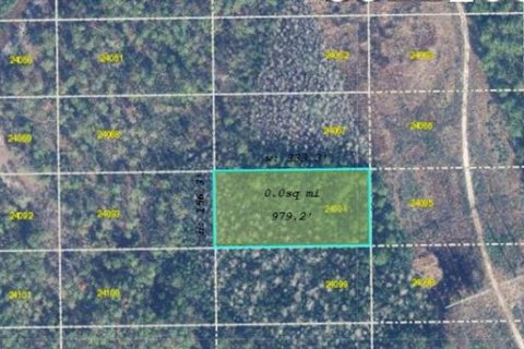 Land in Orlando, Florida № 2118549 - photo 2