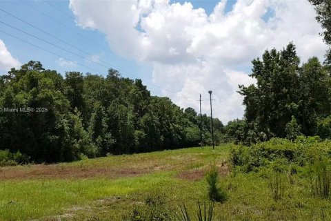 Propiedad comercial en venta en Ocala, Florida № 2054593 - foto 7