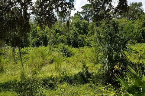 Propiedad comercial en venta en Ocala, Florida № 2054593 - foto 12