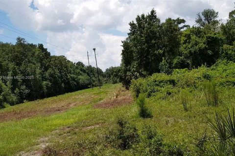 Propiedad comercial en venta en Ocala, Florida № 2054593 - foto 14