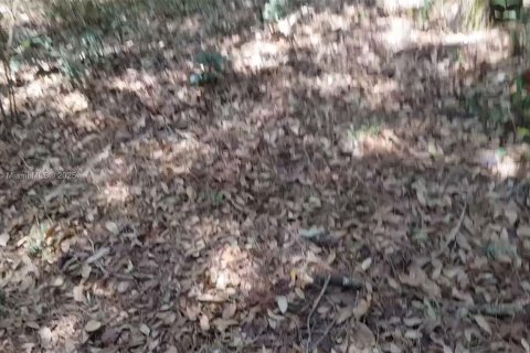 Propiedad comercial en venta en Ocala, Florida № 2054593 - foto 16