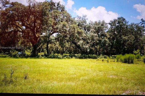 Propiedad comercial en venta en Ocala, Florida № 2054593 - foto 3