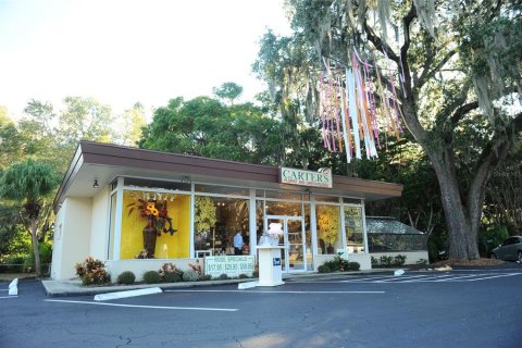 Commercial property in Saint Petersburg, Florida 226.22 sq.m. № 1519930 - photo 2