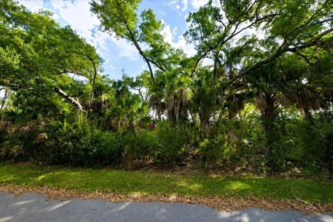 Land in Port Charlotte, Florida № 2219074