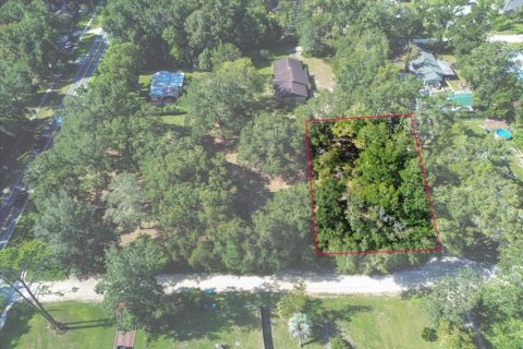 Land in High Springs, Florida № 2369183