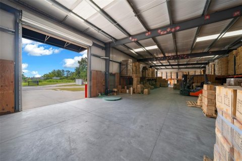 Immobilier commercial à louer à Summerfield, Floride № 2404710 - photo 3