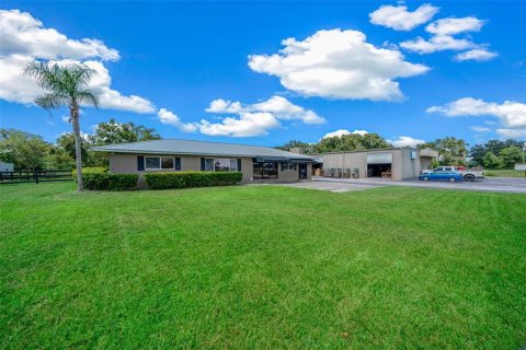 Immobilier commercial à louer à Summerfield, Floride № 2404710 - photo 22