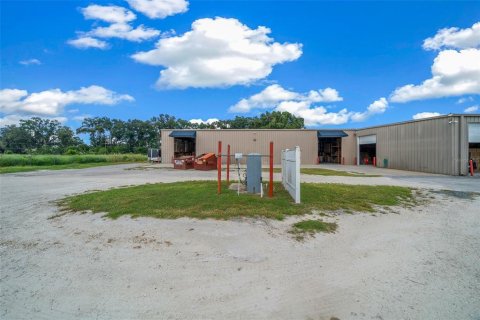 Immobilier commercial à louer à Summerfield, Floride № 2404710 - photo 23