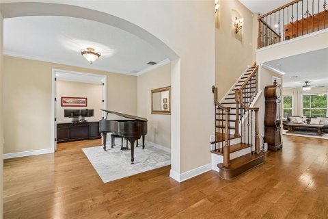 House in Tampa, Florida 7 bedrooms, 486.53 sq.m. № 2197028 - photo 10