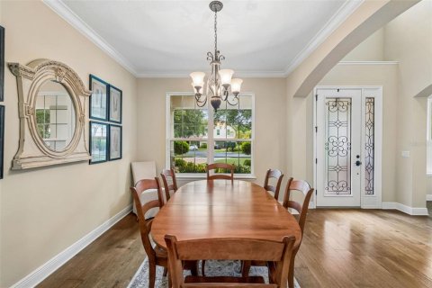 House in Tampa, Florida 7 bedrooms, 486.53 sq.m. № 2197028 - photo 16