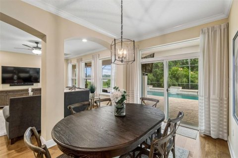 House in Tampa, Florida 7 bedrooms, 486.53 sq.m. № 2197028 - photo 27