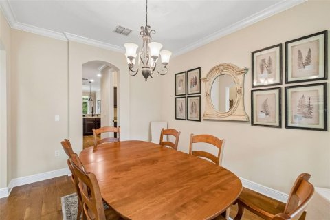 House in Tampa, Florida 7 bedrooms, 486.53 sq.m. № 2197028 - photo 17