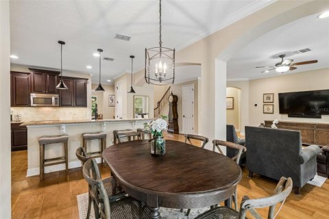 House in Tampa, Florida 7 bedrooms, 486.53 sq.m. № 2197028 - photo 25
