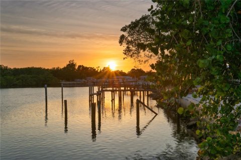 Villa ou maison à vendre à Saint Petersburg, Floride: 4 chambres, 304.53 m2 № 1762110 - photo 8