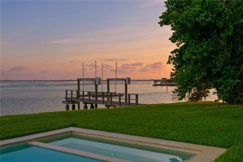 Villa ou maison à vendre à Saint Petersburg, Floride: 4 chambres, 304.53 m2 № 1762110 - photo 7