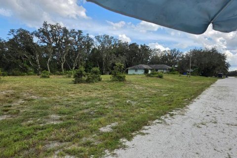 Land in Avon Park, Florida № 2159257 - photo 6