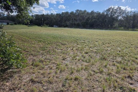 Land in Avon Park, Florida № 2159257 - photo 3