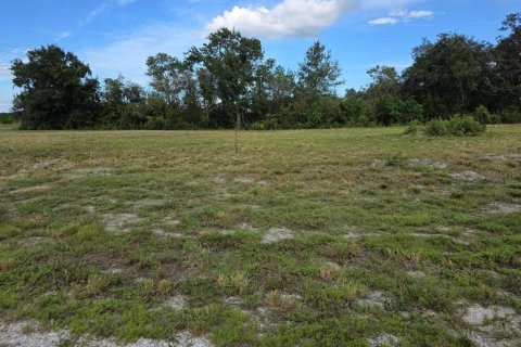 Land in Avon Park, Florida № 2159257 - photo 4