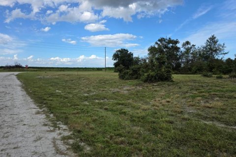 Land in Avon Park, Florida № 2159257 - photo 5