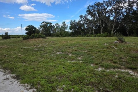 Land in Avon Park, Florida № 2159257