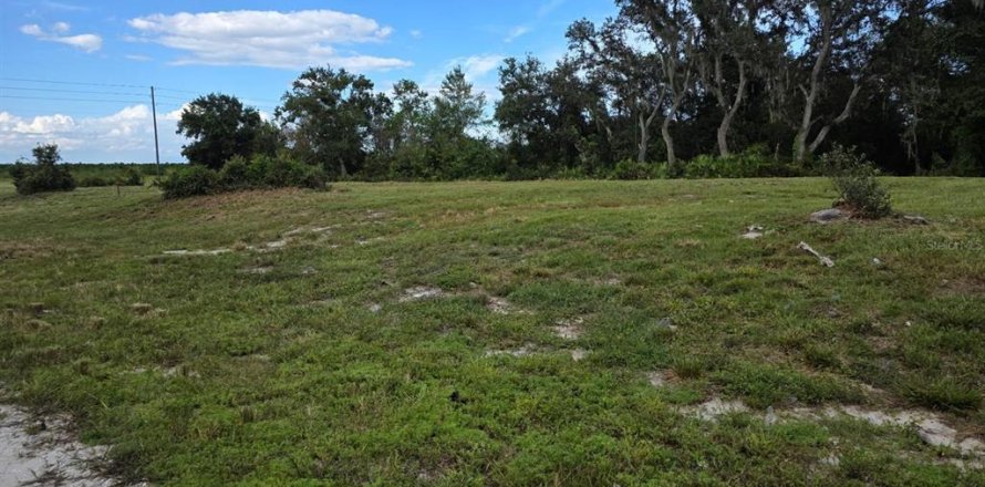 Land in Avon Park, Florida № 2159257