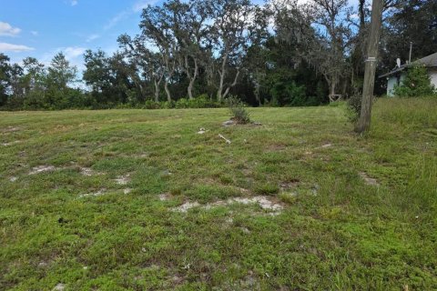 Land in Avon Park, Florida № 2159257 - photo 7
