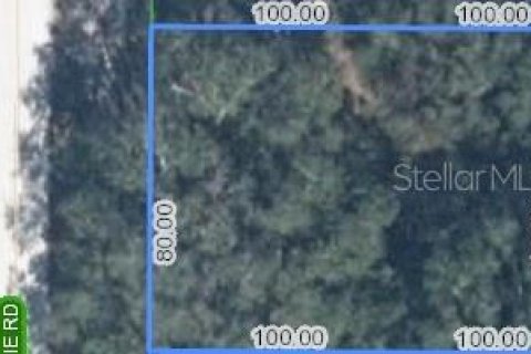 Land in Avon Park, Florida № 2159257 - photo 8