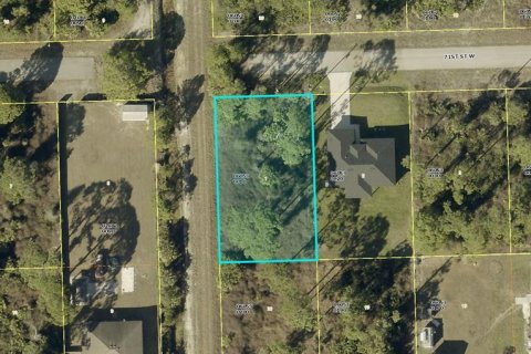 Land in Lehigh Acres, Florida № 2165868
