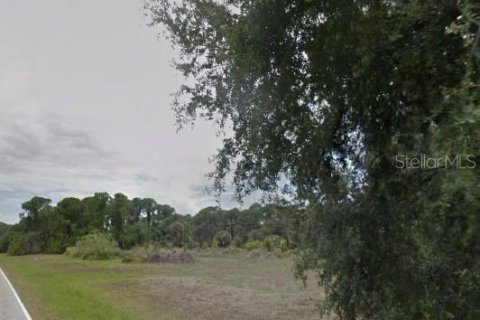 Terrain à Rotonda, Floride № 2098578
